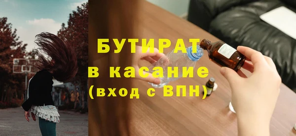 прущие грибы Новозыбков