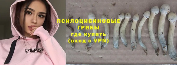 бошки Армянск